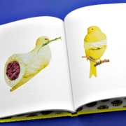 Un livre ouvert présente des illustrations artistiques d'oiseaux : l'un ressemblant à un rouleau de sushi avec des feuilles vertes, et un autre enveloppé dans un tissu perché sur une branche.